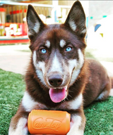 Can Toy Durable Rubber Chew Toy & Treat Dispenser - Average Chewer From SodaPup