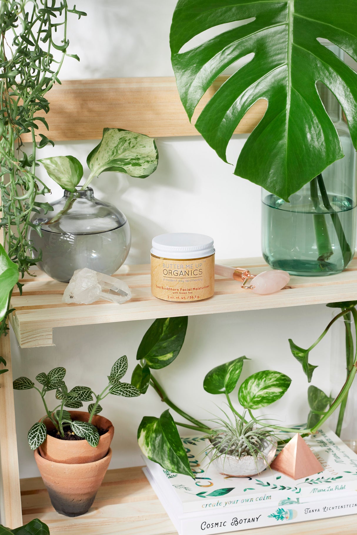 Sea Buckthorn Facial Moisturizer / Organic Face Moisturizer / Facial Care / Face Nutrition from Butter Me Up Organics