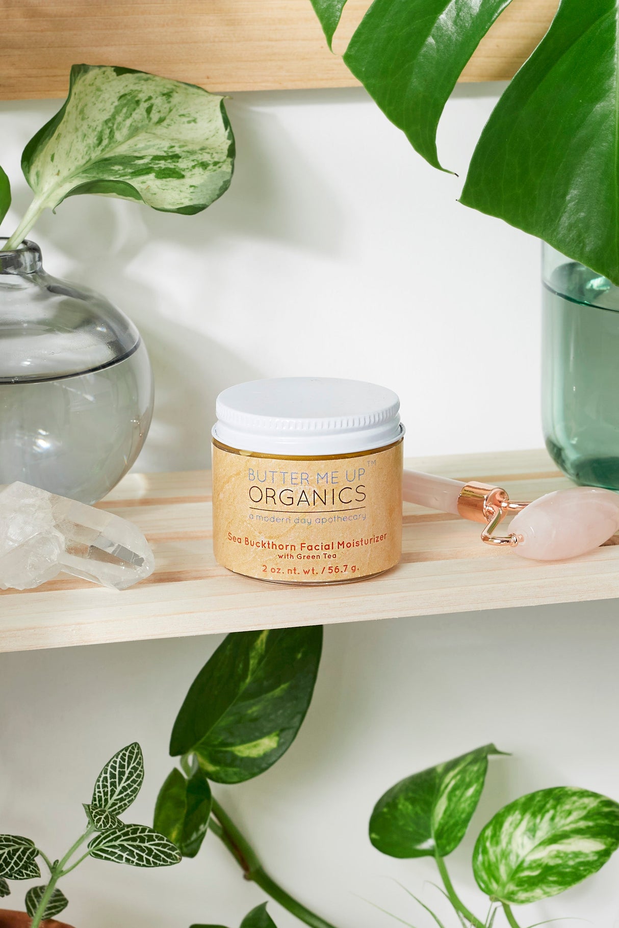 Sea Buckthorn Facial Moisturizer / Organic Face Moisturizer / Facial Care / Face Nutrition from Butter Me Up Organics