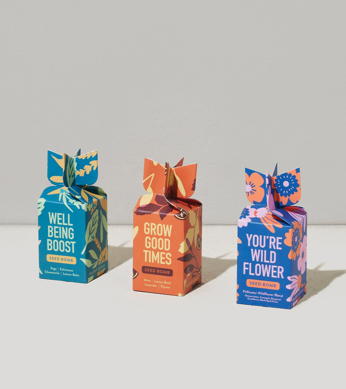 Seed Bomb from Modern Sprout