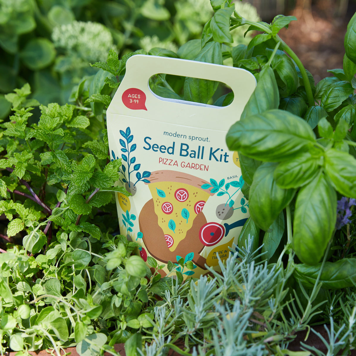 Seed Ball Kits from Modern Sprout