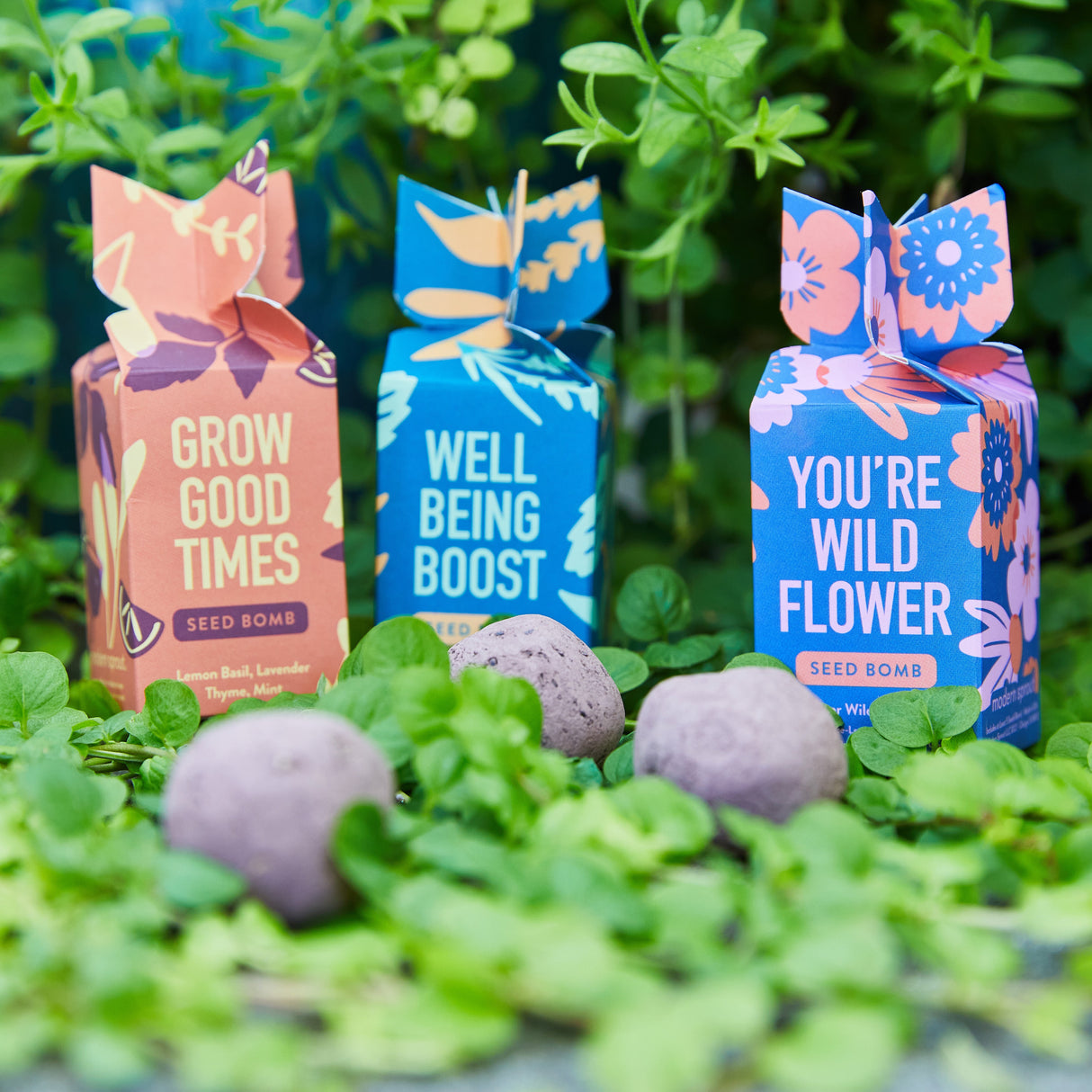 Seed Bomb from Modern Sprout