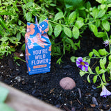 Seed Bomb from Modern Sprout