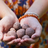 Bright Side Seed Balls from Modern Sprout