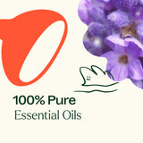 Sensual Essential Oil Blend from Plant Therapy
