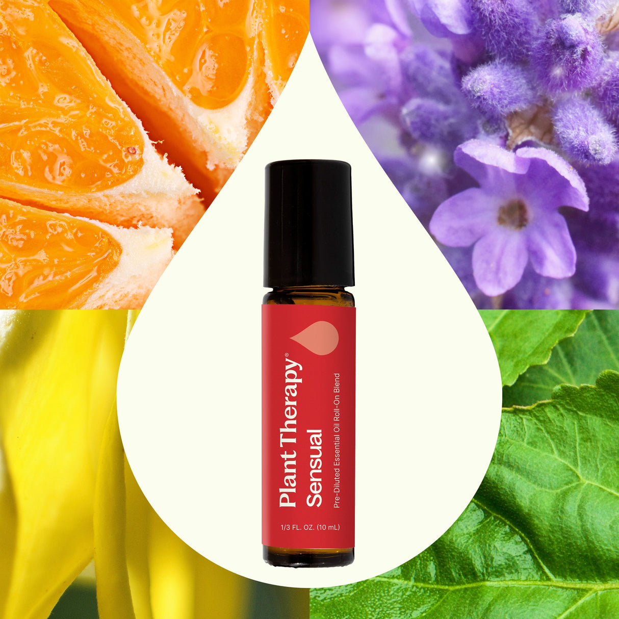 Sensual Essential Oil Blend Pre-Diluted Roll-On from Plant Therapy
