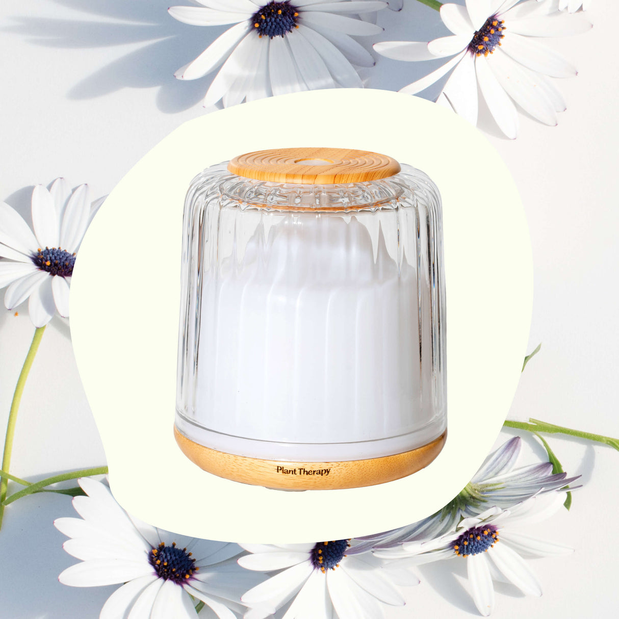 Serenity Glass Diffuser from Plant Therapy