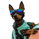K9 Sport Shades - Dog Goggles from K9 Sport Sack