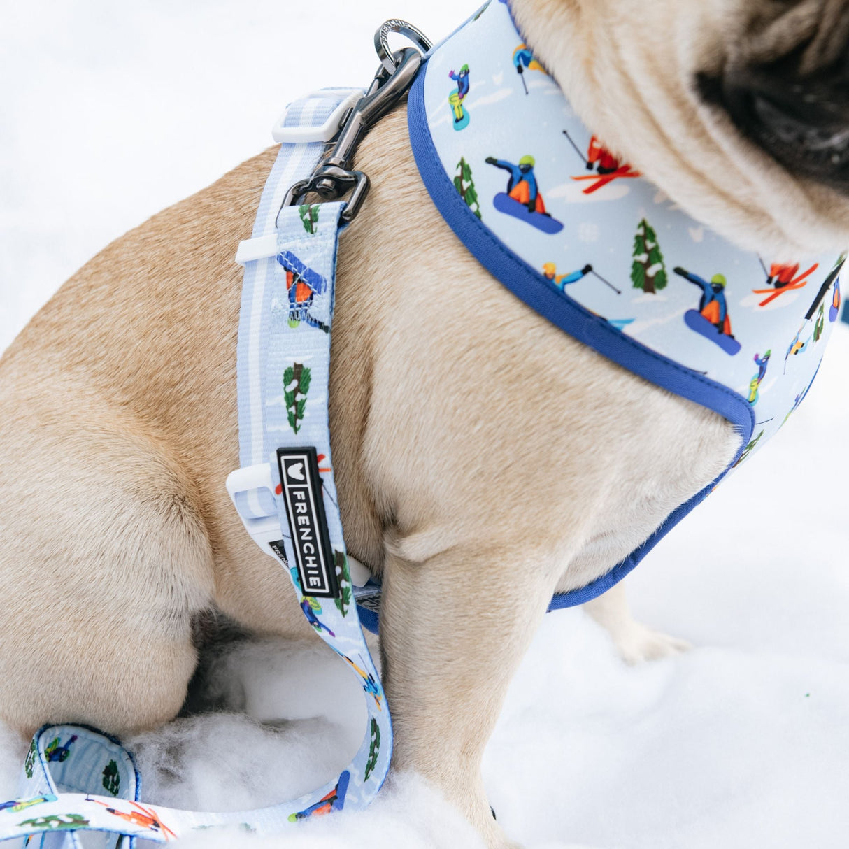 Frenchie Duo Reversible Harness - Ski Club from Frenchie Bulldog