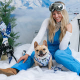 Frenchie Duo Reversible Harness - Ski Club from Frenchie Bulldog