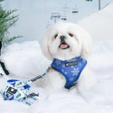 Frenchie Duo Reversible Harness - Ski Club from Frenchie Bulldog