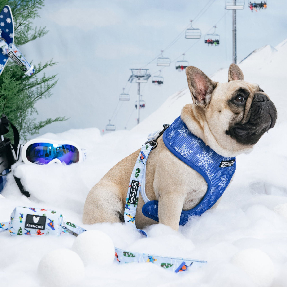 Frenchie Duo Reversible Harness - Ski Club from Frenchie Bulldog