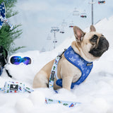 Frenchie Duo Reversible Harness - Ski Club from Frenchie Bulldog