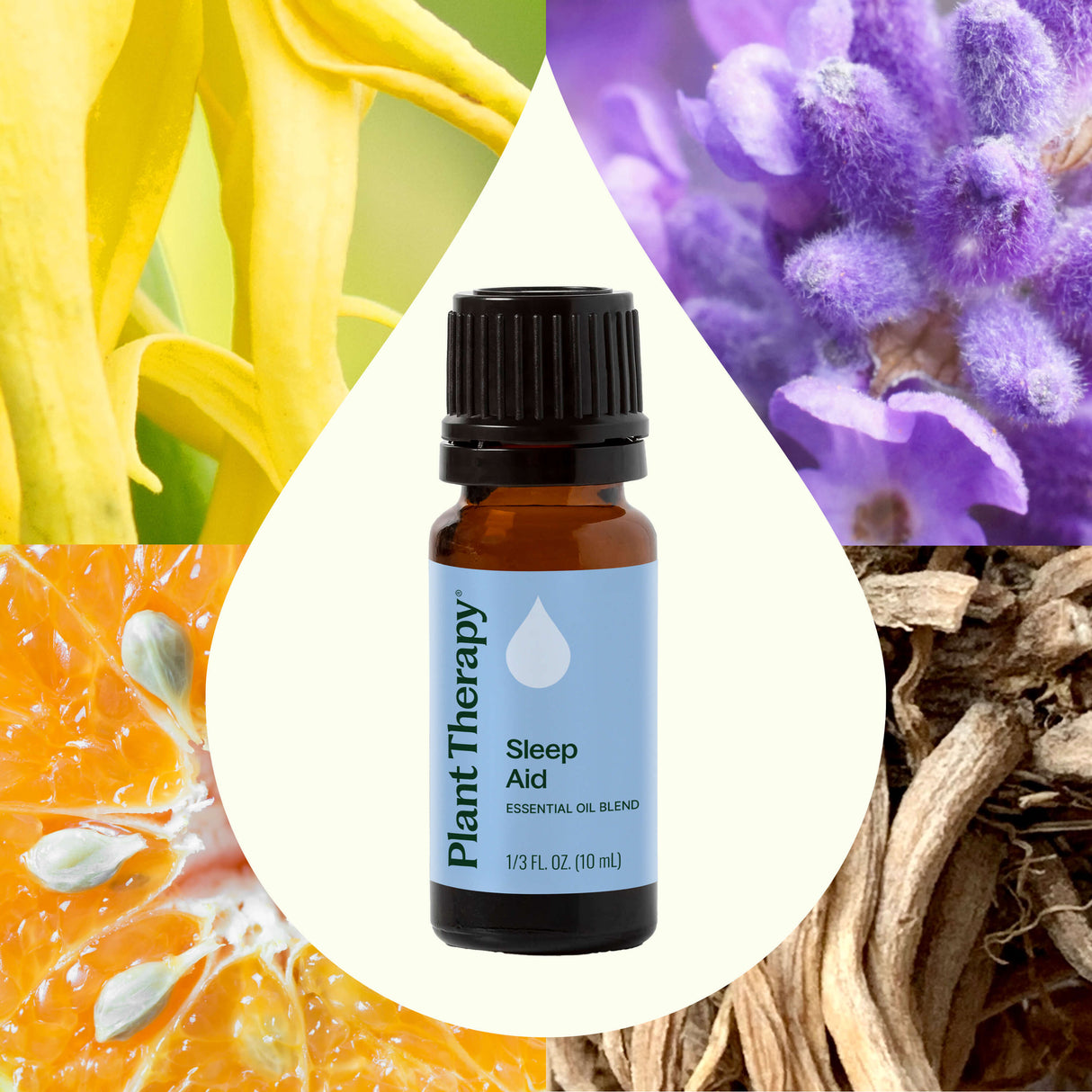 Sleep Aid Essential Oil Blend from Plant Therapy