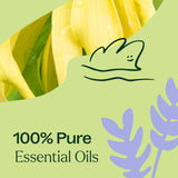 Sleep Aid Essential Oil Blend from Plant Therapy