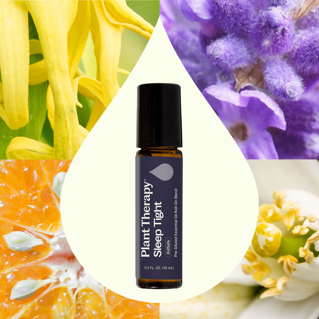 Sleep Tight Essential Oil Blend Pre-Diluted Roll-On from Plant Therapy