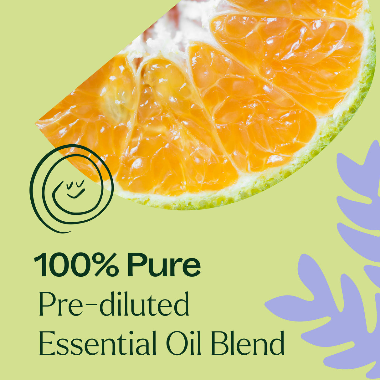 Sleep Tight Essential Oil Blend Pre-Diluted Roll-On from Plant Therapy