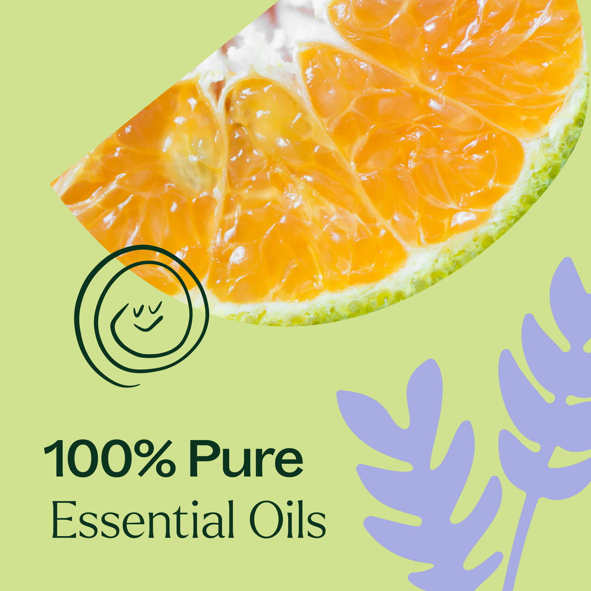 Sleep Tight Essential Oil Blend from Plant Therapy