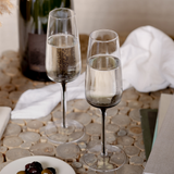 Smoke Stem Champagne Glasses from Hotel Collection