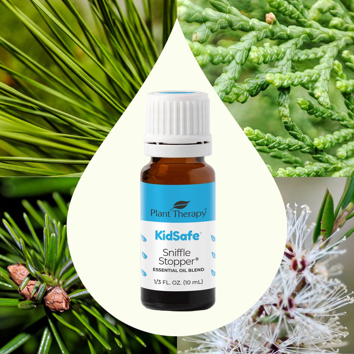 Sniffle Stopper KidSafe Essential Oil from Plant Therapy