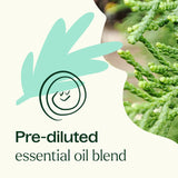 Sniffle Stopper KidSafe Essential Oil Pre-Diluted Roll-On from Plant Therapy