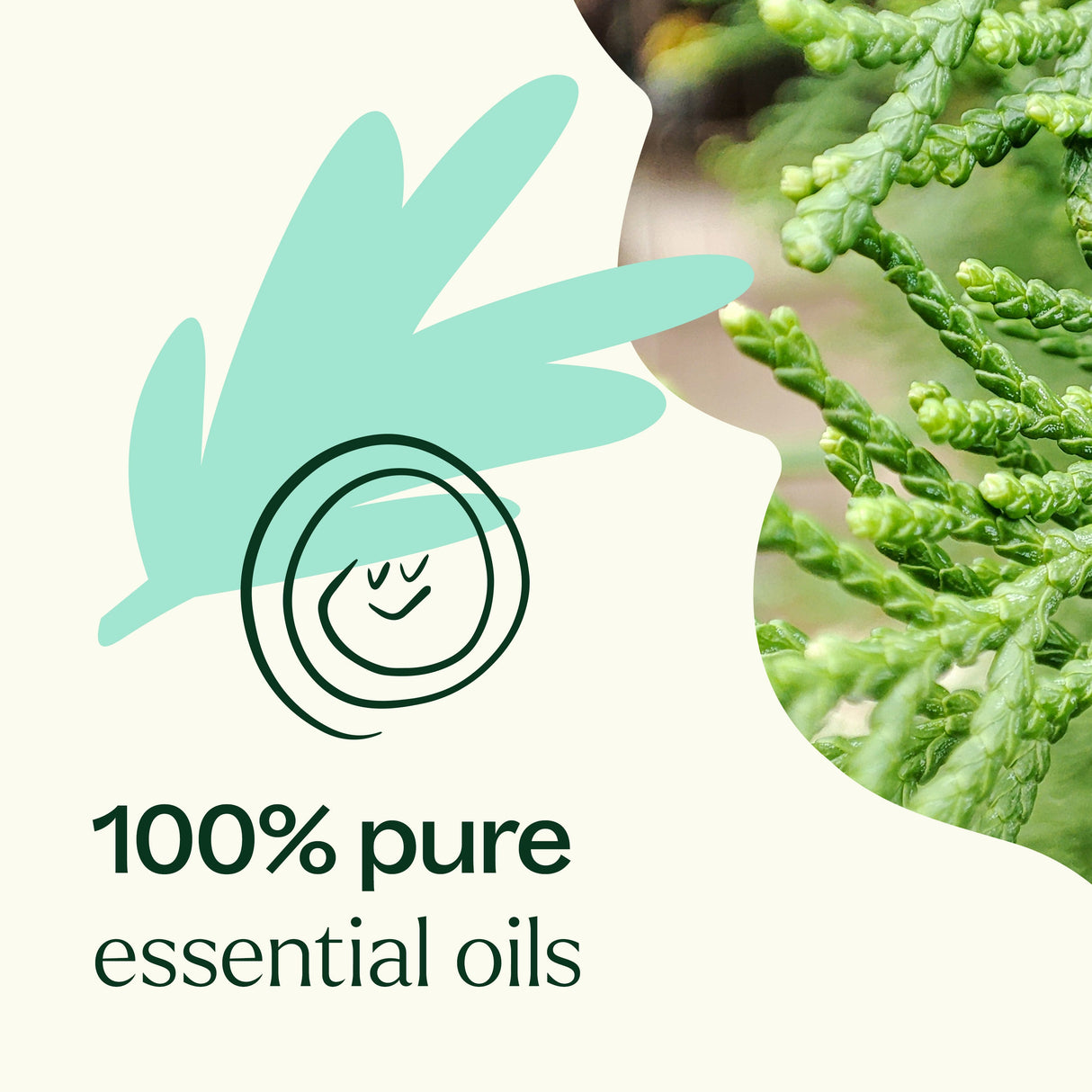 Sniffle Stopper KidSafe Essential Oil from Plant Therapy