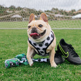 Frenchie Duo Reversible Harness - Soccer from Frenchie Bulldog