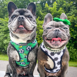 Frenchie Duo Reversible Harness - Soccer from Frenchie Bulldog