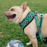 Frenchie Duo Reversible Harness - Soccer from Frenchie Bulldog