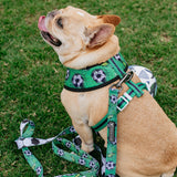 Frenchie Duo Reversible Harness - Soccer from Frenchie Bulldog