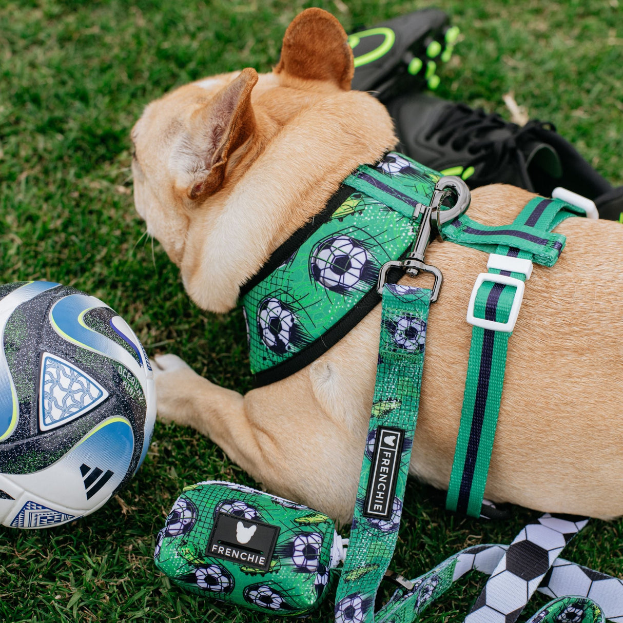 Frenchie Duo Reversible Harness - Soccer from Frenchie Bulldog