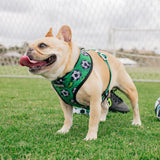 Frenchie Duo Reversible Harness - Soccer from Frenchie Bulldog