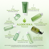 Aloe Soothing & Moisturizing Cream from ALODERMA