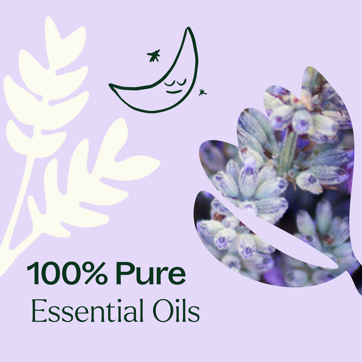 Sparkling Lavender Laundry Essential Oil Blend from Plant Therapy