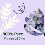 Sparkling Lavender Laundry Essential Oil Blend from Plant Therapy