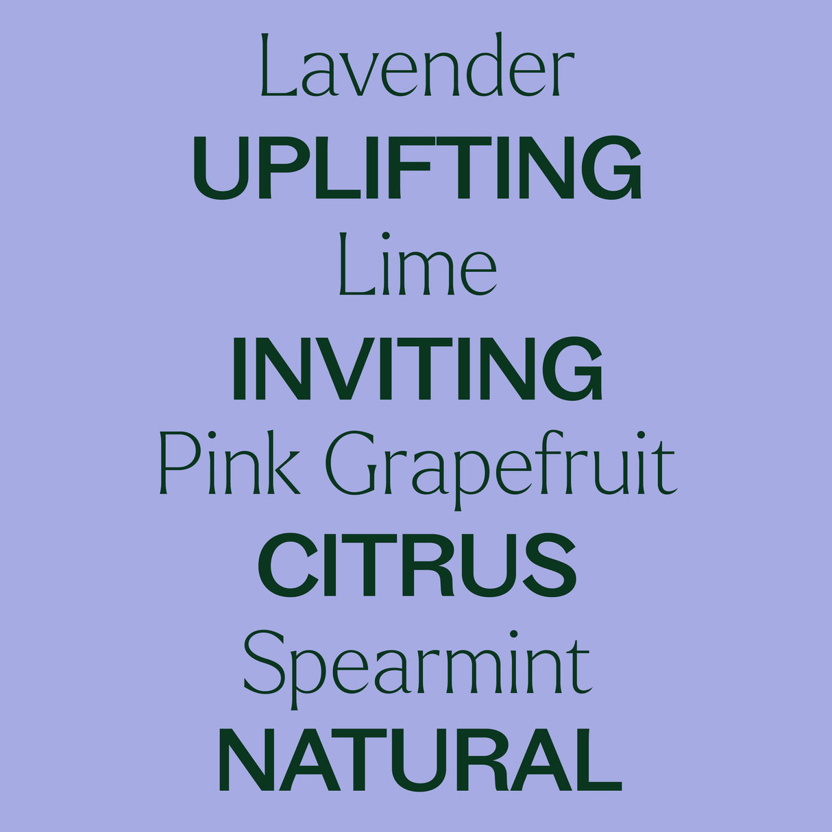 Sparkling Lavender Laundry Essential Oil Blend from Plant Therapy