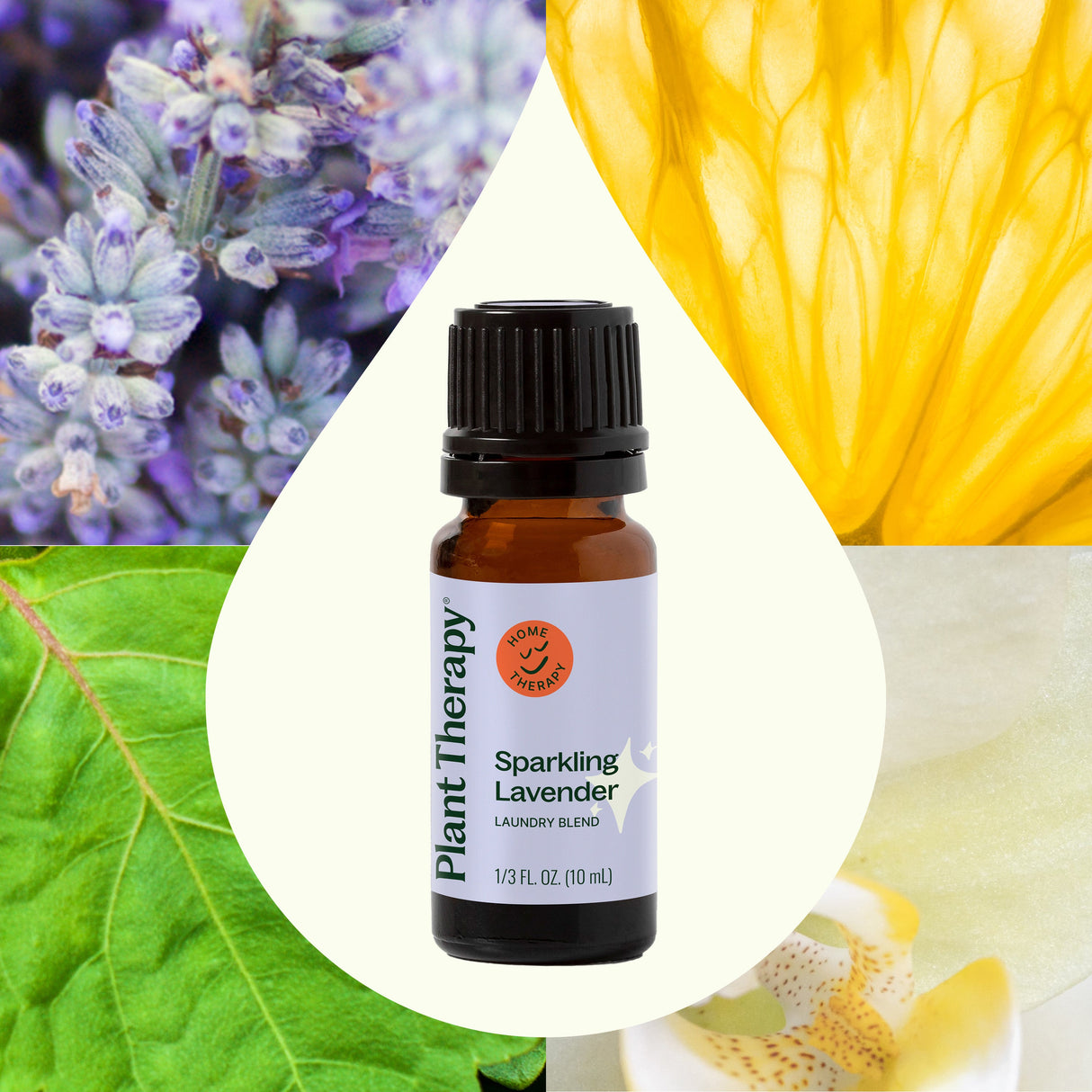 Sparkling Lavender Laundry Essential Oil Blend from Plant Therapy
