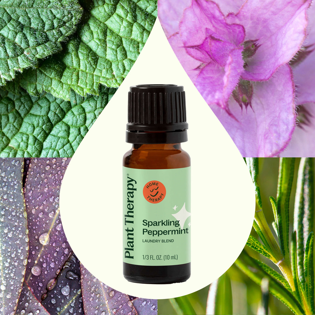Sparkling Peppermint Laundry Essential Oil Blend from Plant Therapy