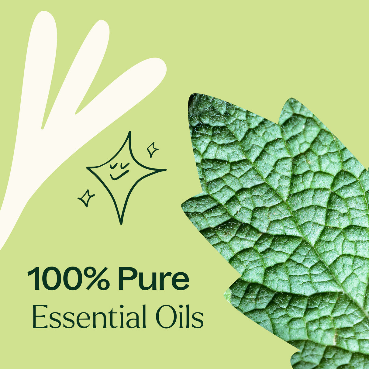 Sparkling Peppermint Laundry Essential Oil Blend from Plant Therapy