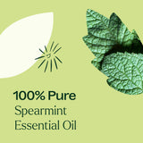 Spearmint Essential Oil from Plant Therapy