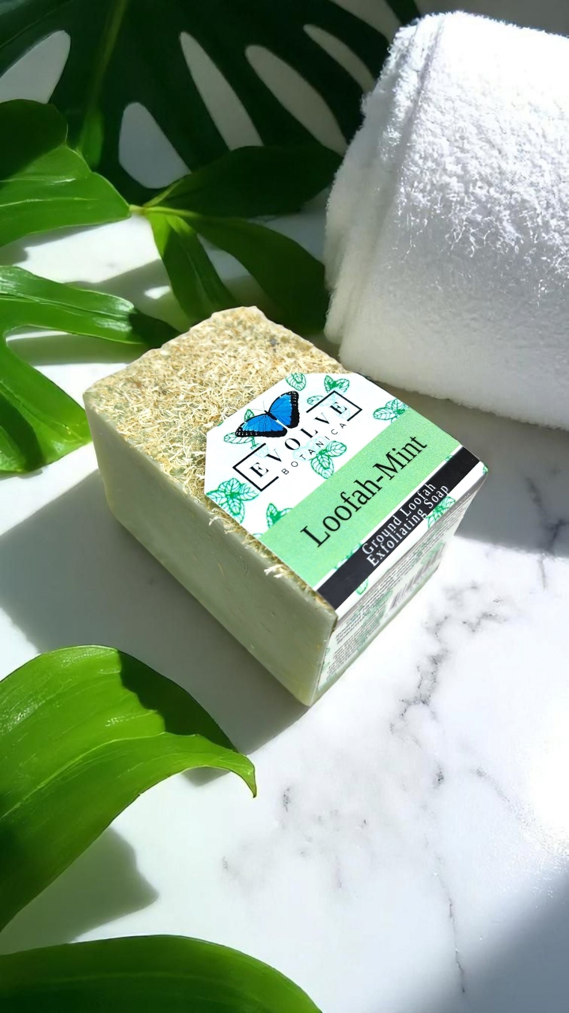 Specialty Soap - Loofah-Mint from Evolve Botanica