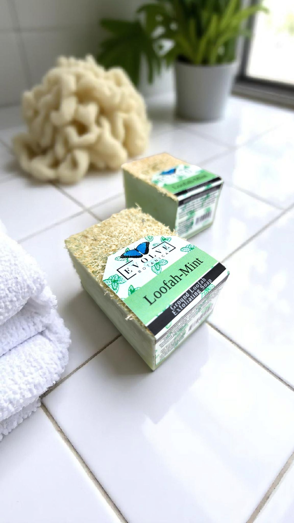 Specialty Soap - Loofah-Mint from Evolve Botanica