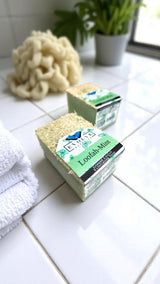 Specialty Soap - Loofah-Mint from Evolve Botanica