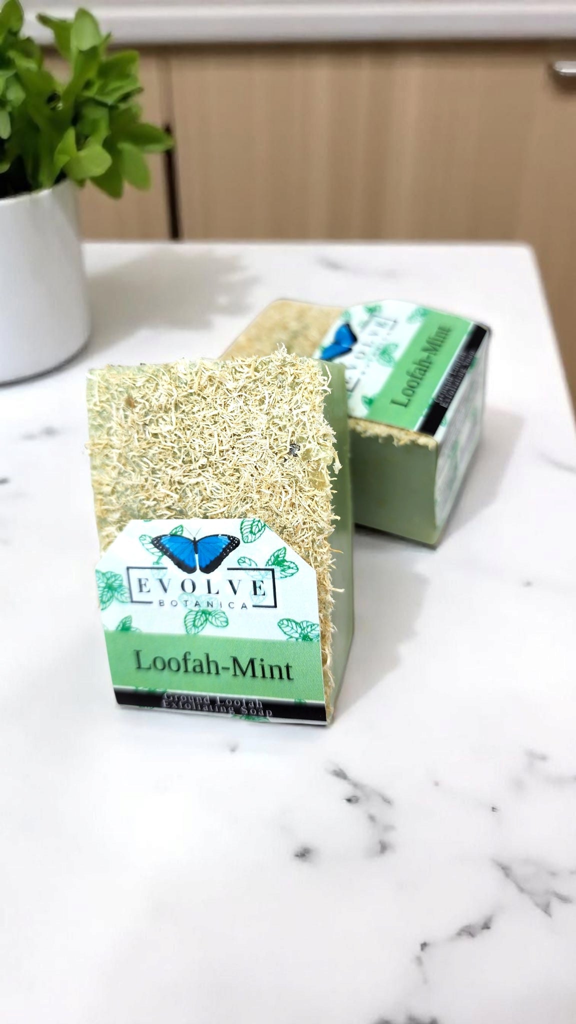 Specialty Soap - Loofah-Mint from Evolve Botanica