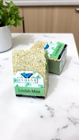 Specialty Soap - Loofah-Mint from Evolve Botanica