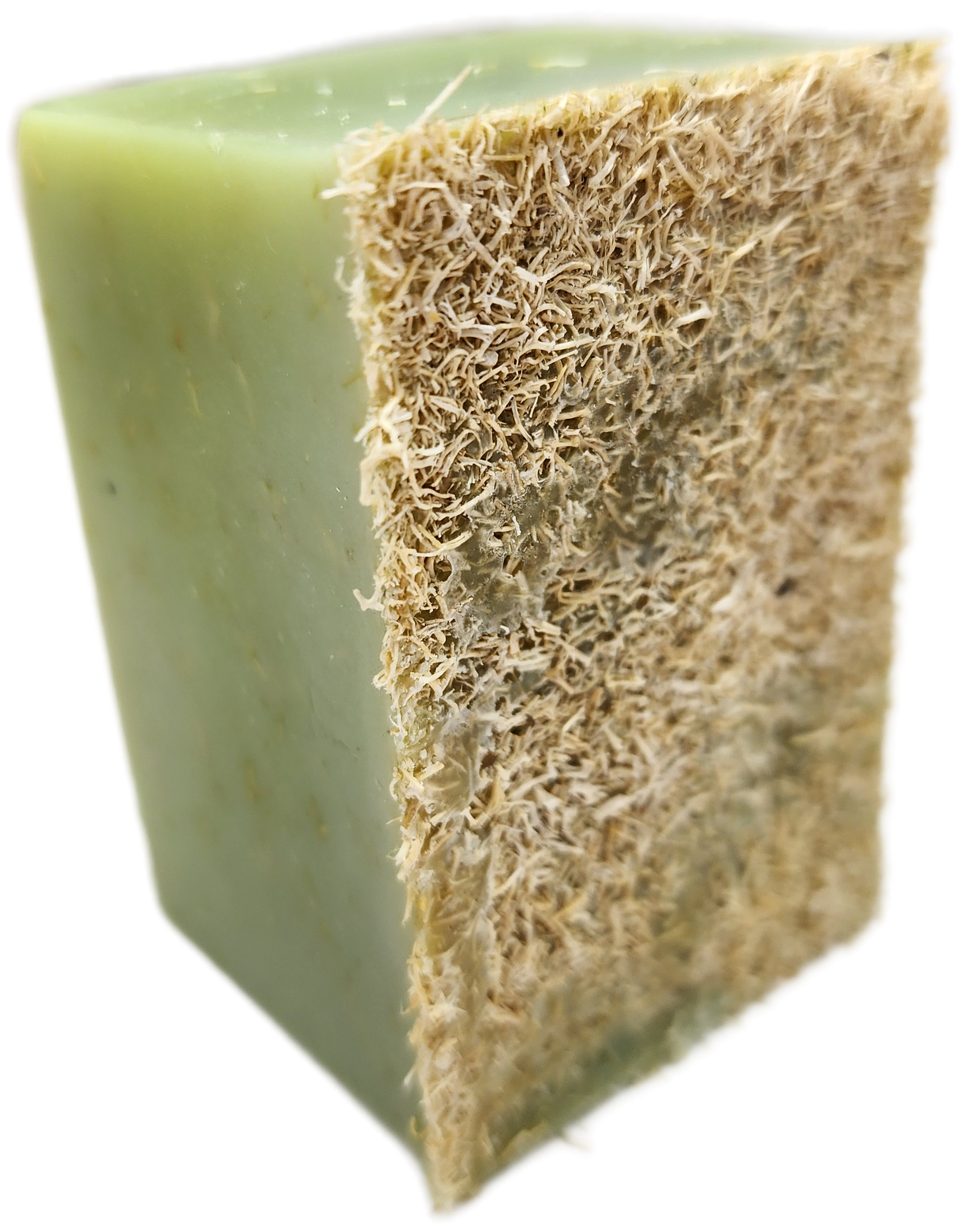 Specialty Soap - Loofah-Mint from Evolve Botanica