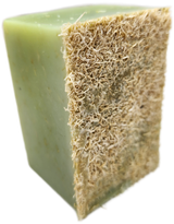 Specialty Soap - Loofah-Mint from Evolve Botanica