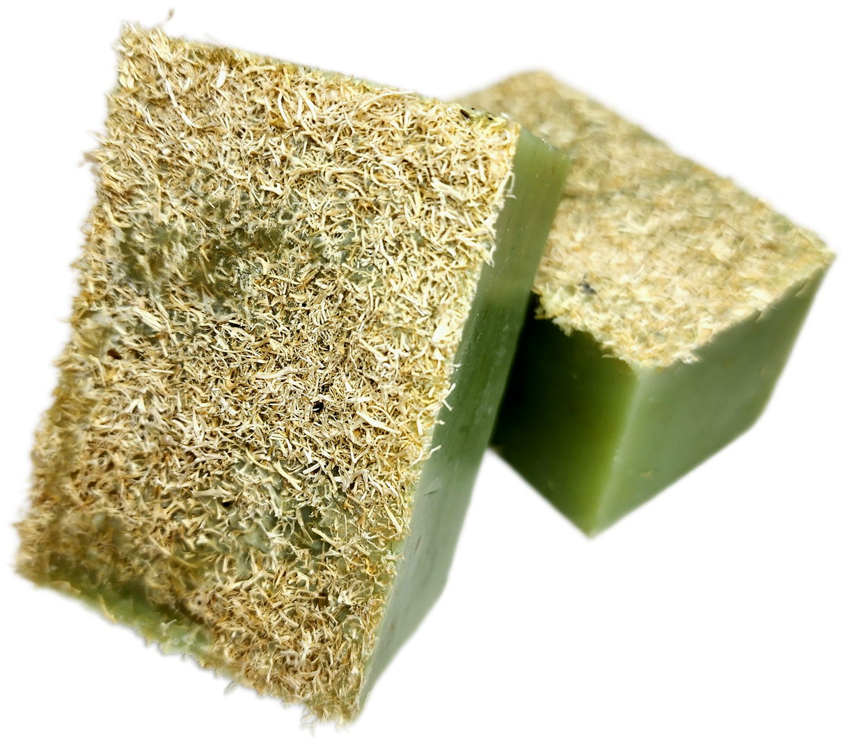 Specialty Soap - Loofah-Mint from Evolve Botanica