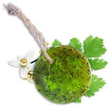 Speckless Soap Bar. Chia, Lemon, Parsley, and Coconut Oil. from BeNat