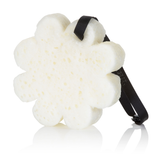 Night Jasmine | Boxed Flower from Spongellé